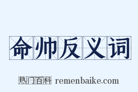 命帅反义词是什么意思的图片